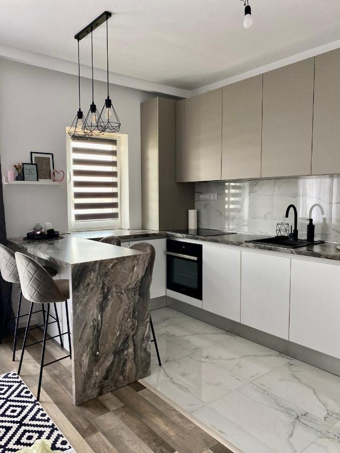 Târgu-Mureş Velvet Studio מראה חיצוני תמונה