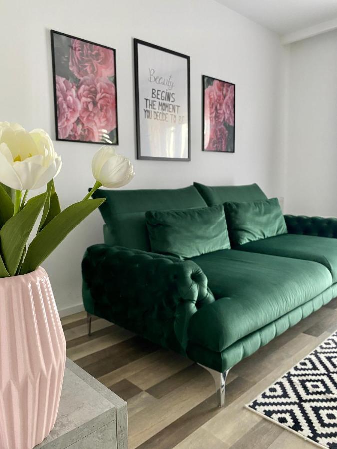 Târgu-Mureş Velvet Studio מראה חיצוני תמונה